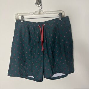 J. Crew Mens Flex Swimwear Bathing Suit Swim Trunks Shorts 232